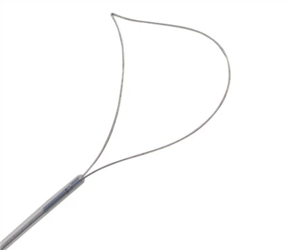 Endoscopic Disposable Lune Snare